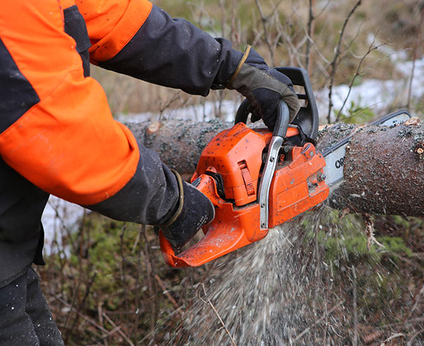 Our goods have a great number of different useful and functional options