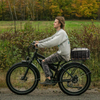 Wooden Base Rear Bicycle Basket with Cargo Net and Cover BJB-501 Eastek