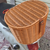 Oval Brown Rattan Look Metal Frame E-bike Basket-BJD-534-Eastek