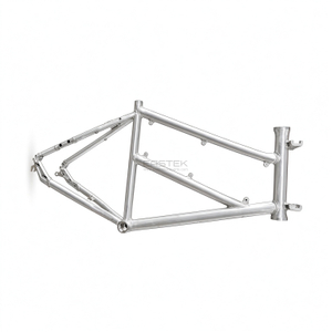 Mid-Drive Motor Men’s Bicycle Frame BDD-052 Eastek